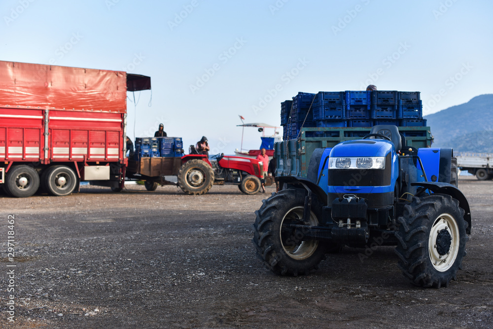 retailer on truck for transportation food is buying boxes with vegetables in farmers on tractors retailer on truck for transportation food is buying boxes with vegetables in farmers on tractors