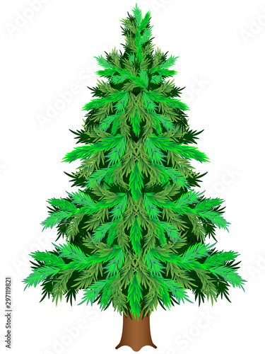 Christmas tree  coniferous plant. Lush green coniferous tree - spruce or pine - a symbol of Christmas and New Year holidays. Evergreen - vector illustration for decorating Christmas products.