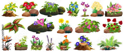 Large set of colorful flowers on rocks and wood