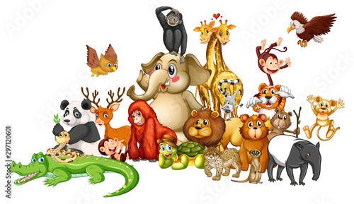 Many animals on white background