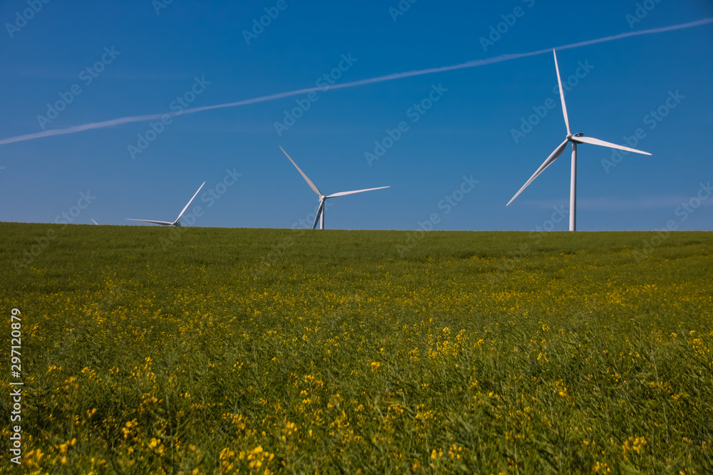 éoliennes dans des champs