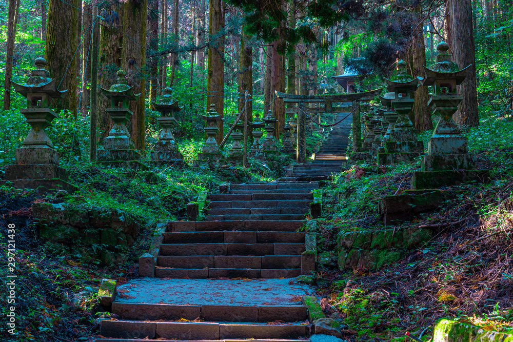 shrine in the forest, Aso, Kumamoto - obrazy, fototapety, plakaty 