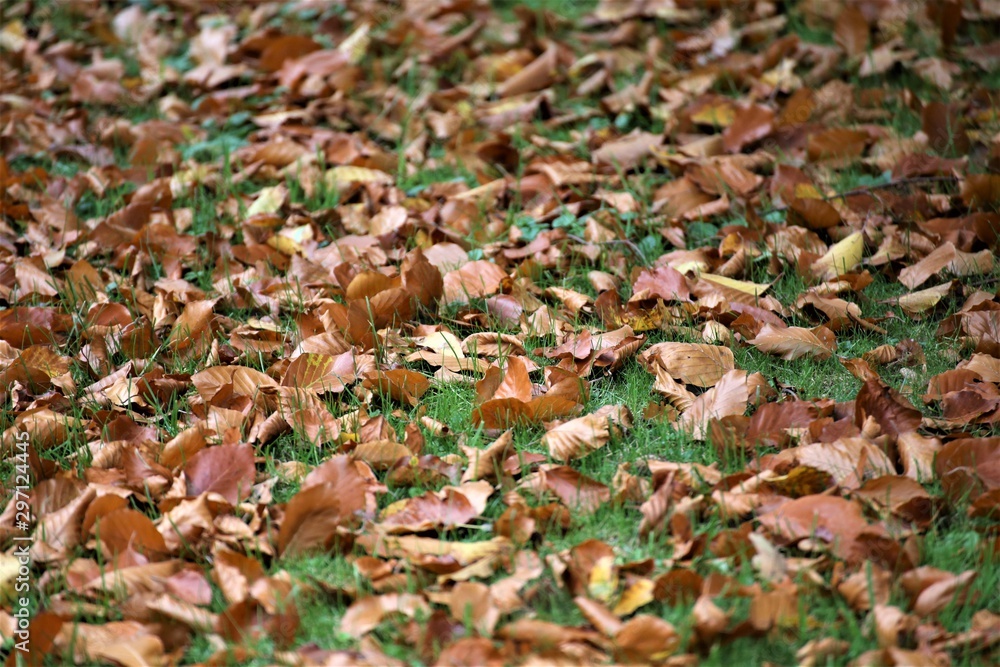 Herbst Herbst
