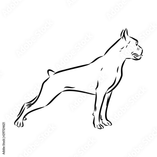 silhouette of a dog, boxer sketch 