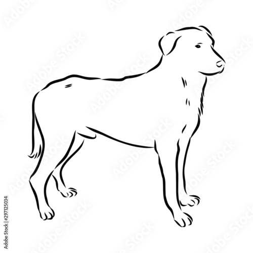 silhouette of dog isolated on white background