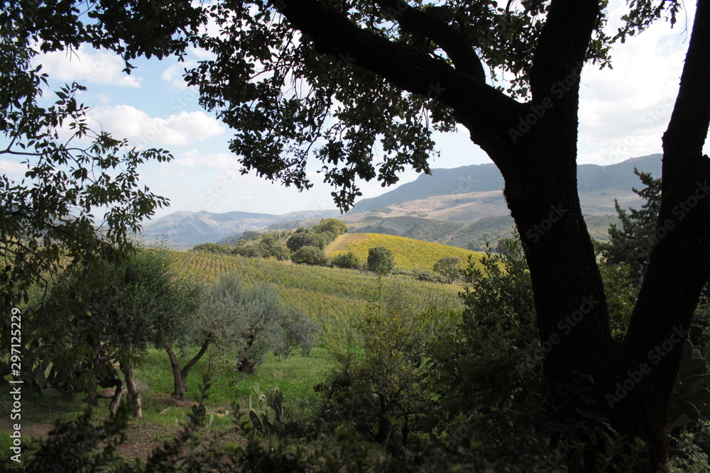 Obraz premium Sicily_landscape