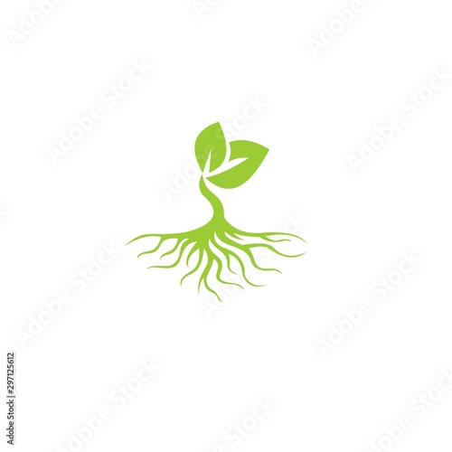 tree with root logo template  © Brayan Jaya