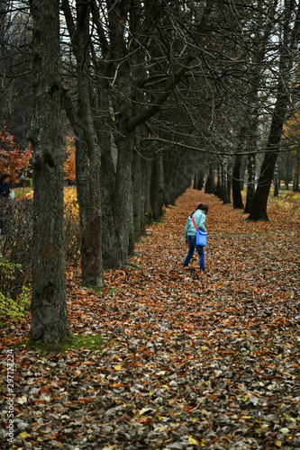 girl in a blue jacket walks on yellow leaves