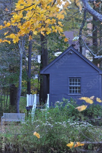 Back Yard, Porch & Classic New England Clapboard in Modern Purple Drab