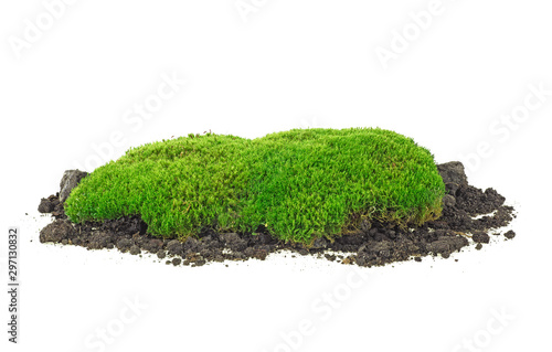 Green moss and pile dirt isolated on white background