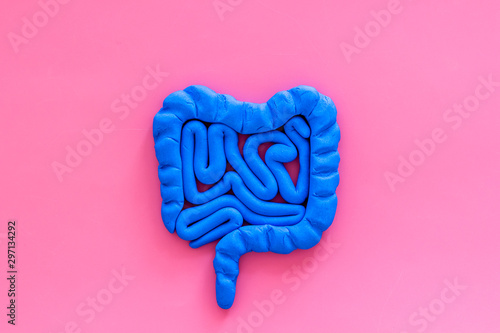 Intestines health. Guts on pink background top view copy space