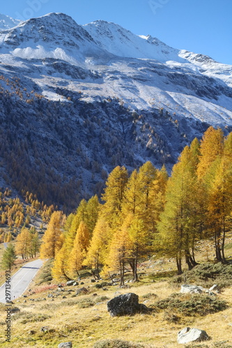 Goldener Oktober im Val Livigno