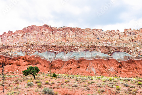 Red rock formations and one tree by layers on landscape cliff in summer in Fruita, Capitol Reef National Monument in Utah