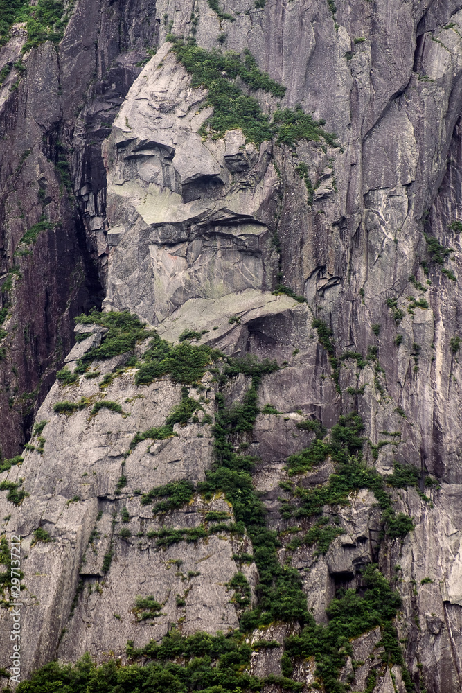 A FAce in Stone