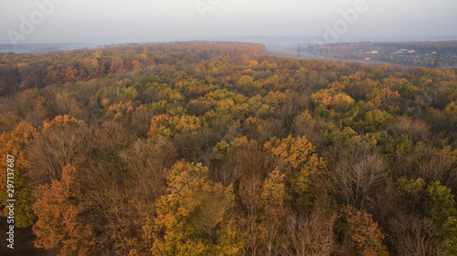 Photo of an autumn forest aerial view at sunset.