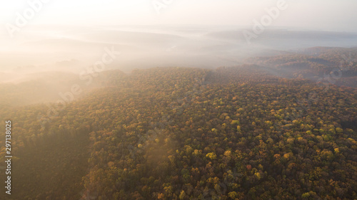 Photo of an autumn forest aerial view at sunset.