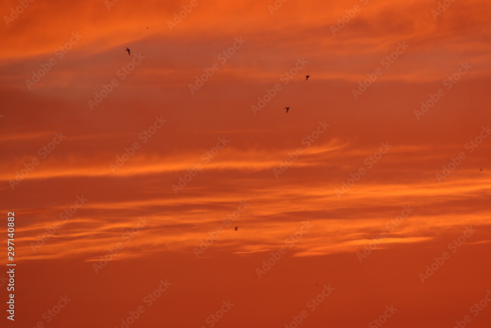 Sunset skies over Crete: red with birds and clouds