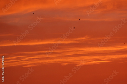 Sunset skies over Crete: red with birds and clouds