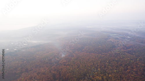 Autumn forest aerial view at sunset.