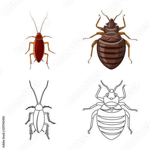 Vector illustration of insect and fly logo. Collection of insect and element stock symbol for web.