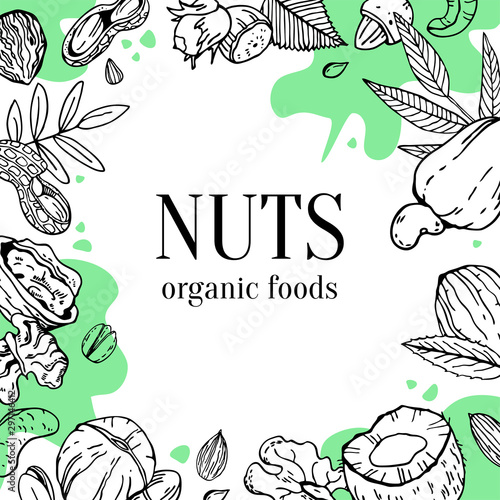 Frame design template with nuts, leaves and green spots. Hand drawn vector sketch illustration