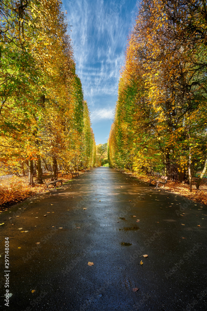 Gdansk, Poland, autumn - fragment of the Oliwa Park in the Gdansk Oliwa district Gdansk, Poland, autumn - fragment of the Oliwa Park in the Gdansk Oliwa district