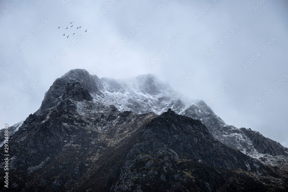 Stunning moody dramatic Winter landscape image of snowcapped Y Garn mountain in Snowdonia with birds flying high above
