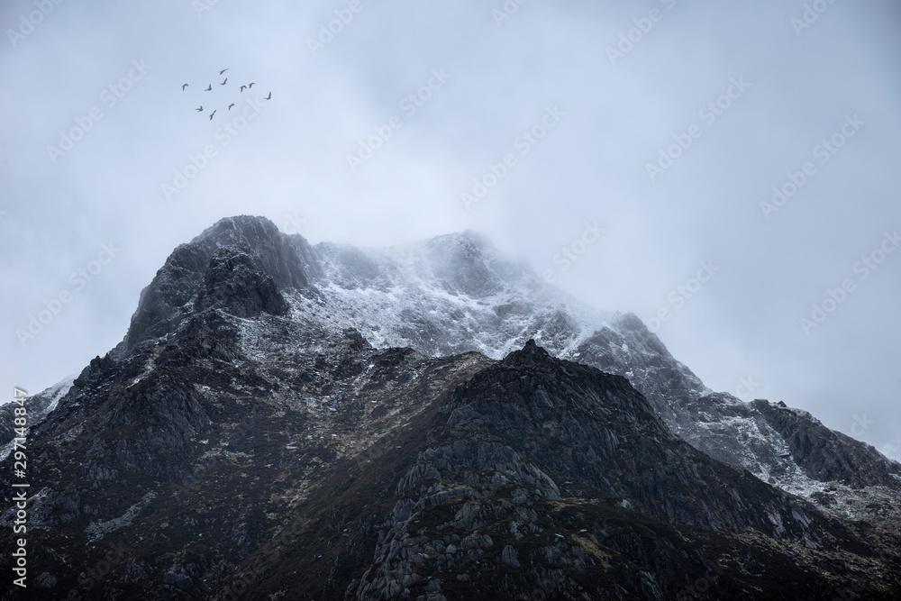 Stunning moody dramatic Winter landscape image of snowcapped Y Garn mountain in Snowdonia with birds flying high above Stunning moody dramatic Winter landscape image of snowcapped Y Garn mountain in Snowdonia with birds flying high above