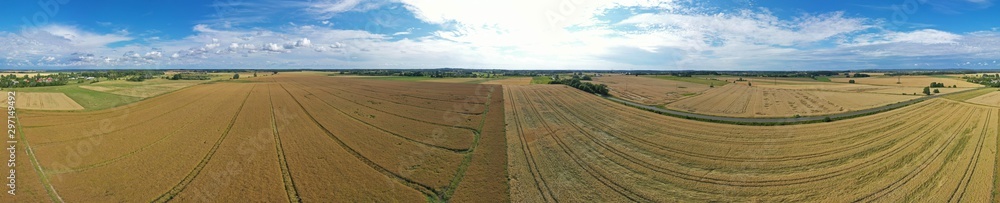 Aerial drone wide panoramic view on damaged wheat field after wind storm, rural landscape divided in half