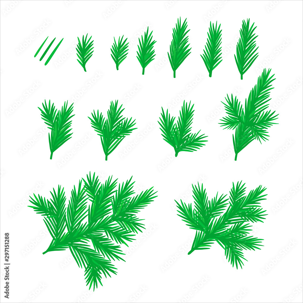 Set of samples of Christmas needles, branches for holiday designs. Colored vector isolated elements on a white background.