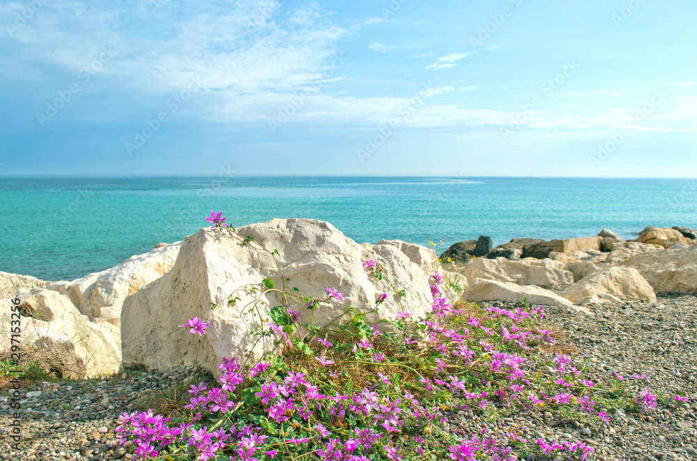 View to the Adriatic sea  from Bari city beach, Puglia region, Italy