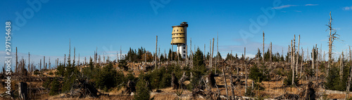 Šumava forest panorama 