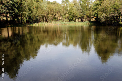 Fishpond  Anglers  Nature  Hessles  Thuringia  Germany  Europe