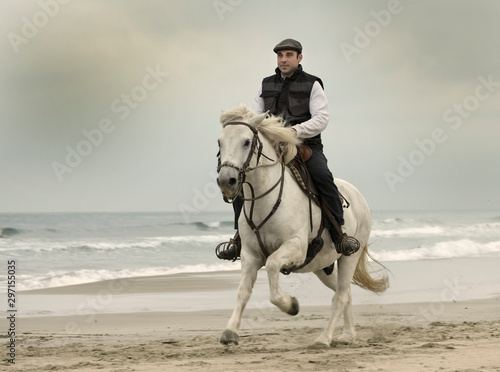 riding man and horse