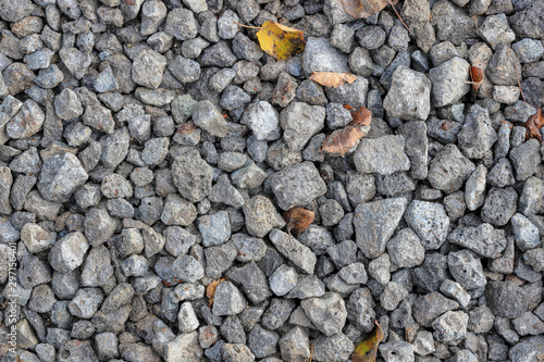 Wallpaper Mural Fallen autumn brown leaves on gray gravel Torontodigital.ca