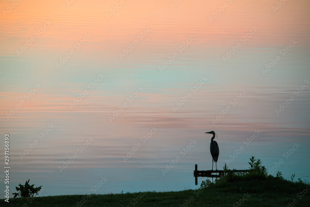 Silhouette of Heron at Dusk at Quiet Lake