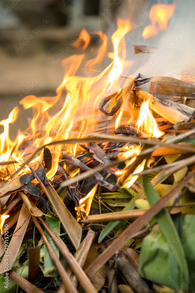 Burning dry grass in the garden in spring, Closeup fire Burning dry grass in the garden in spring, Closeup fire