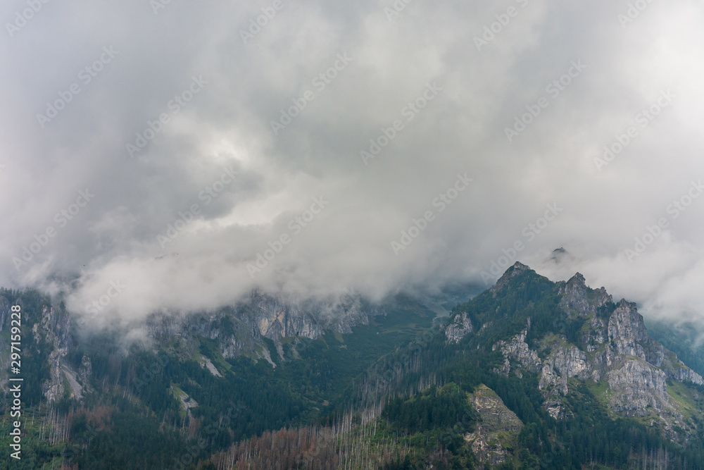 Tatry mountains. Beautiful green forests covered with fog and clouds.