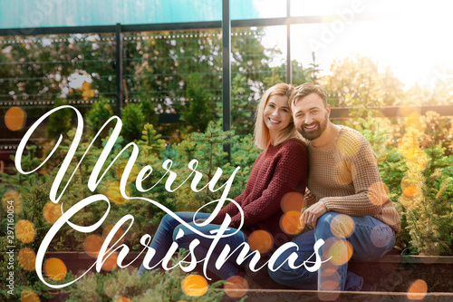 Couple choosing Christmas t...