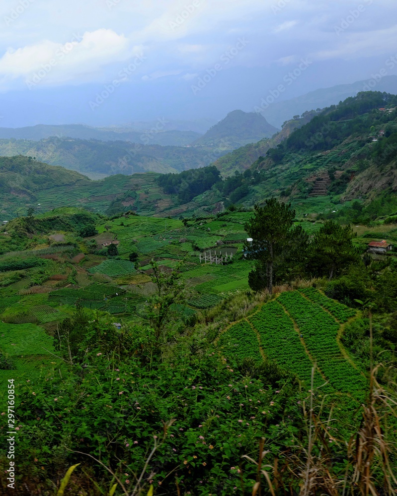 Vegetable farms in Bauko, Mountain Province, Philippines
