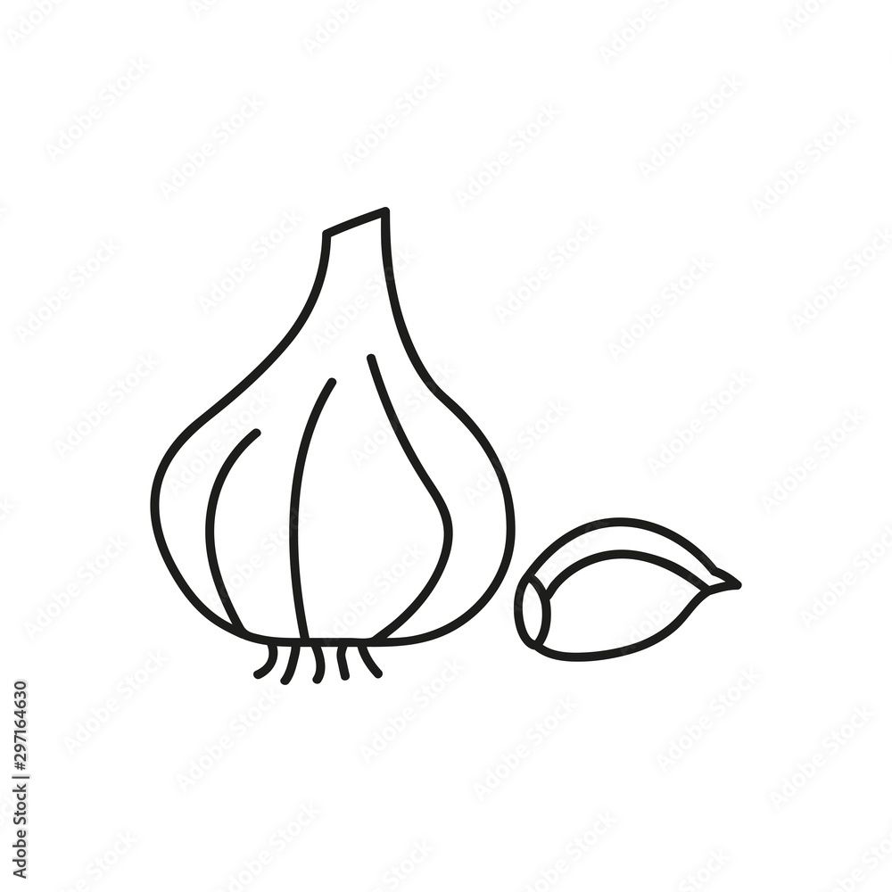 Garlic thin line vector icon. Isolated condiment linear style for menu, label, logo. Detailed vegetarian food symbol.