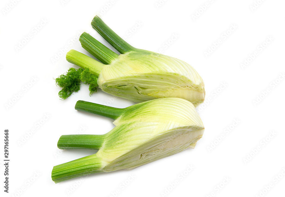 Raw Fennel. Fresh Fennel Bulb isolated on white Background, top View, close-up