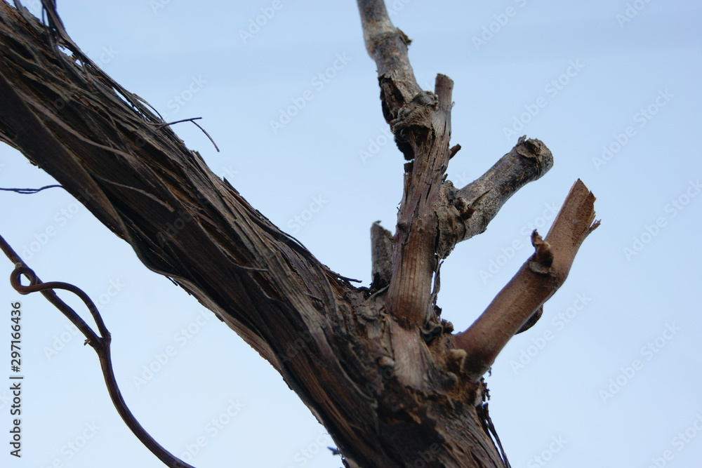 so gradually deteriorates, the metal and rust. so gradually deteriorates, the metal and rust.