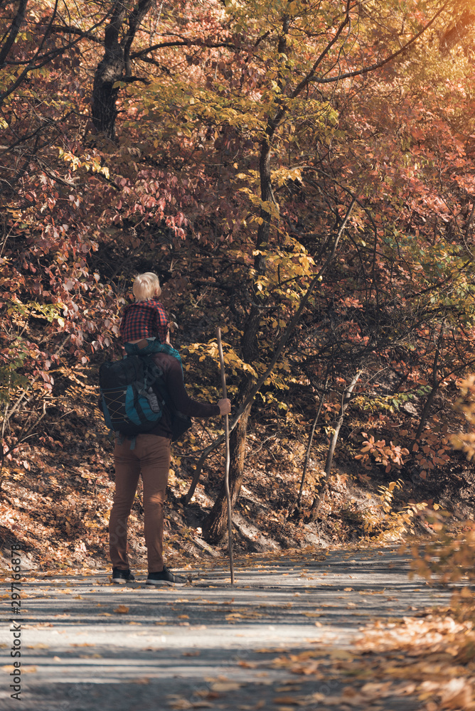 Fototapeta premium Father with son on his shoulders walking in the autumn park. Sunny day. Back view