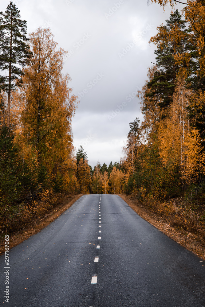 Fototapeta premium Beautiful moody scene of highway through Autumn forest.