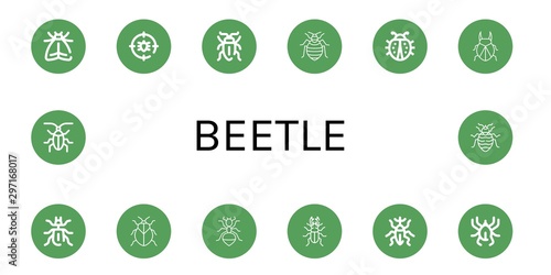 Set of beetle icons such as Moth, Anti bug, Sap beetle, Bed bug, Ladybug, Beetle, Stink bug, Ant, Weevil, Acari, Cockroach ,