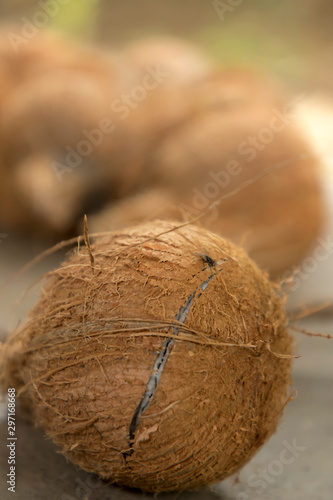 Focus on coconut bursting on the ground