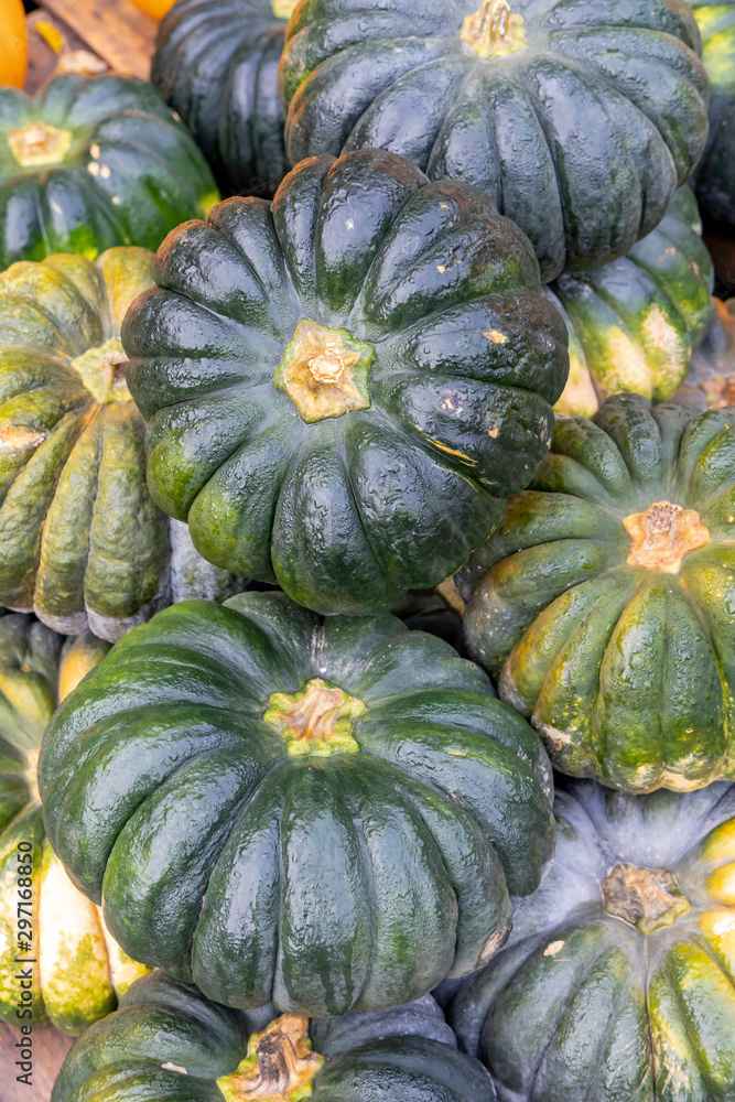 different kinds of pumpkins, autumn market, Austria different kinds of pumpkins, autumn market, Austria