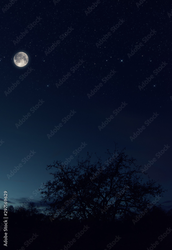 Big moon Big moon