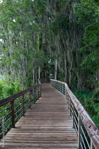 Boardwalk through Cypress trees, Lake Henderson, Inverness, Florida